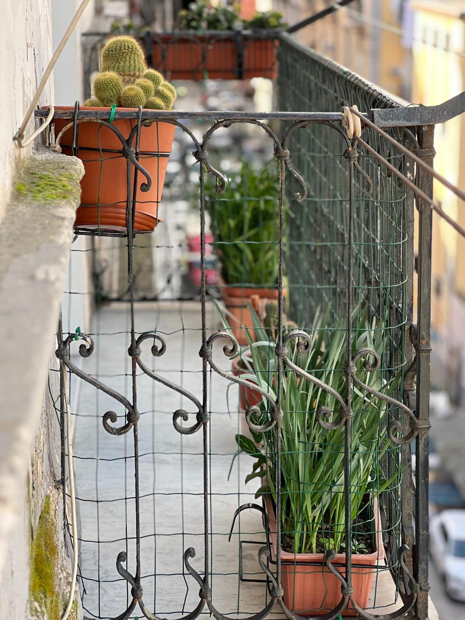 Bruno House Bed & Breakfast Napoli Exterior foto